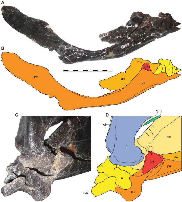 Figure 14