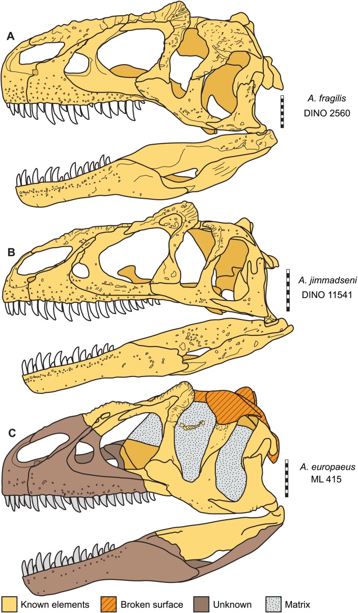 Figure 16