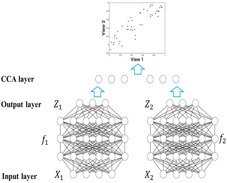 Fig. 1: