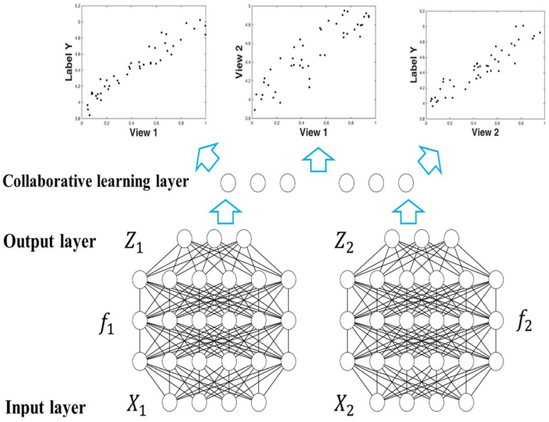 Fig. 2: