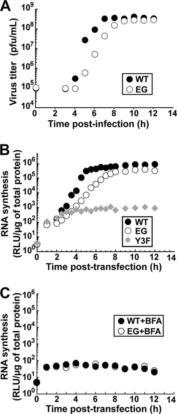 FIG. 4.