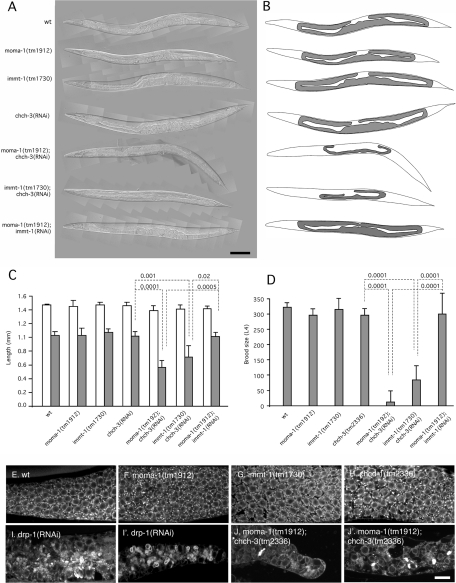 FIGURE 5: