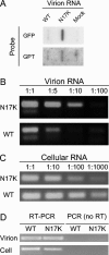 FIG. 7.