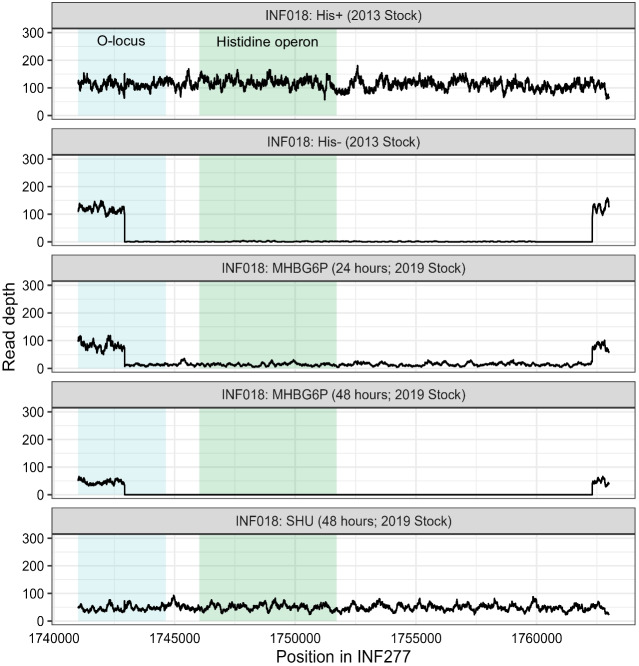 Fig. 2