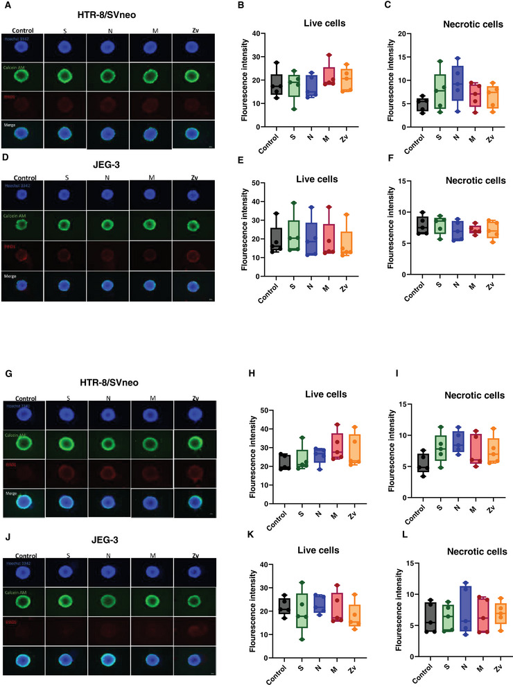 FIGURE 4