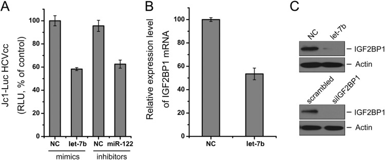 Fig 8