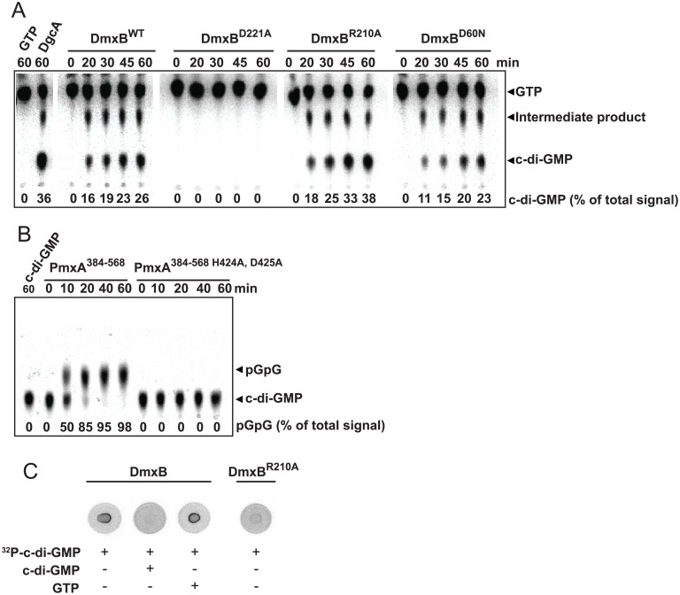 Fig 4