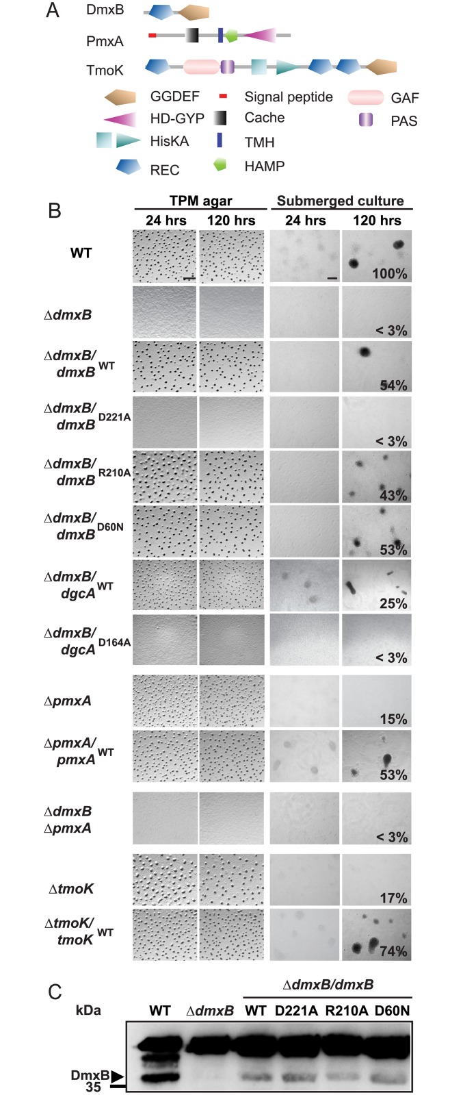 Fig 3