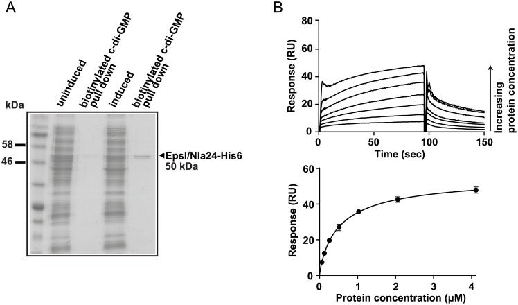 Fig 9