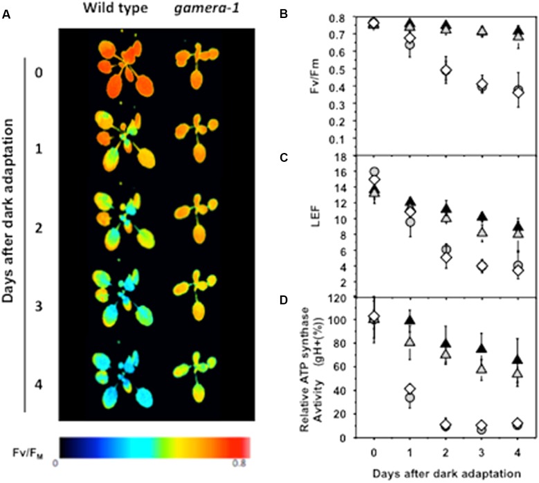 FIGURE 1