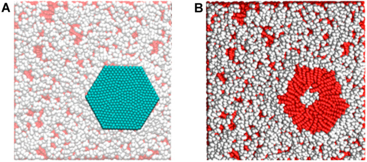 FIGURE 7