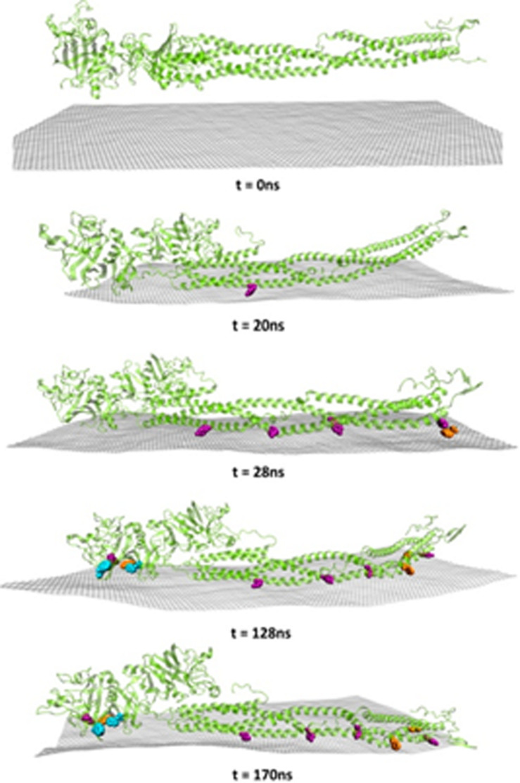 FIGURE 6