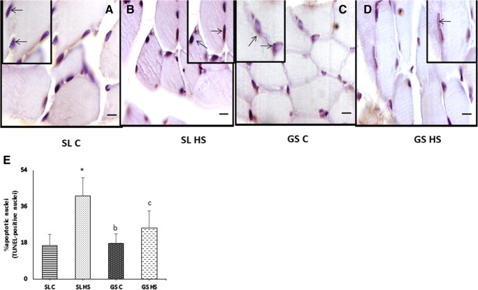 Fig. 12