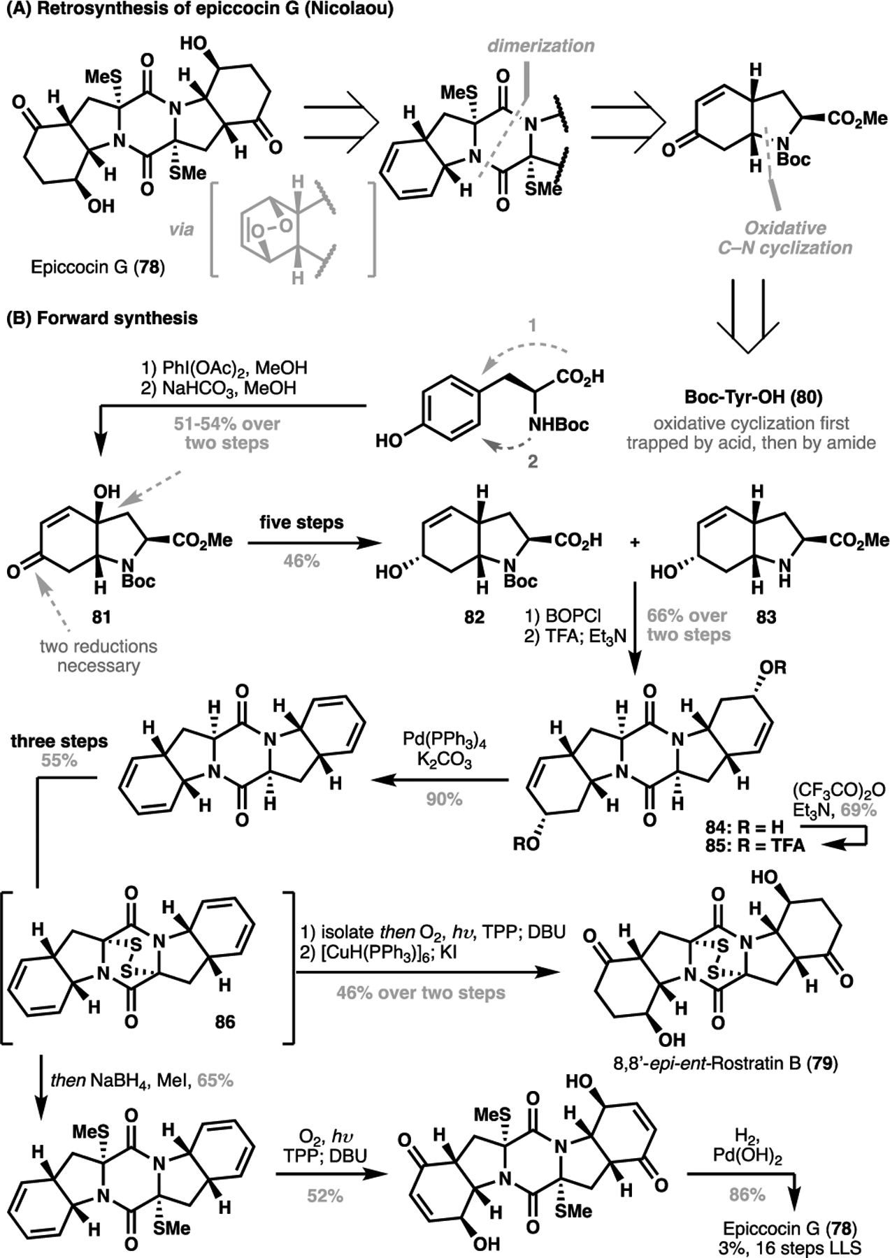 Scheme 16.