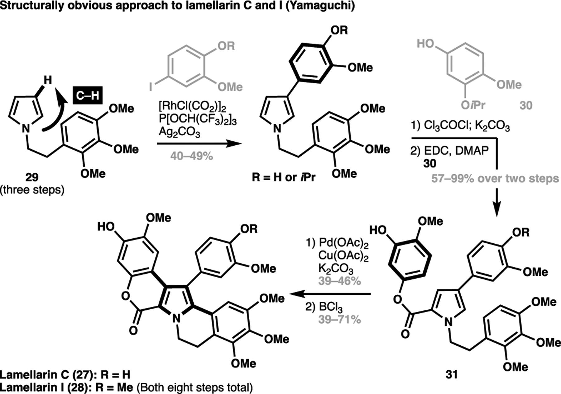 Scheme 4.