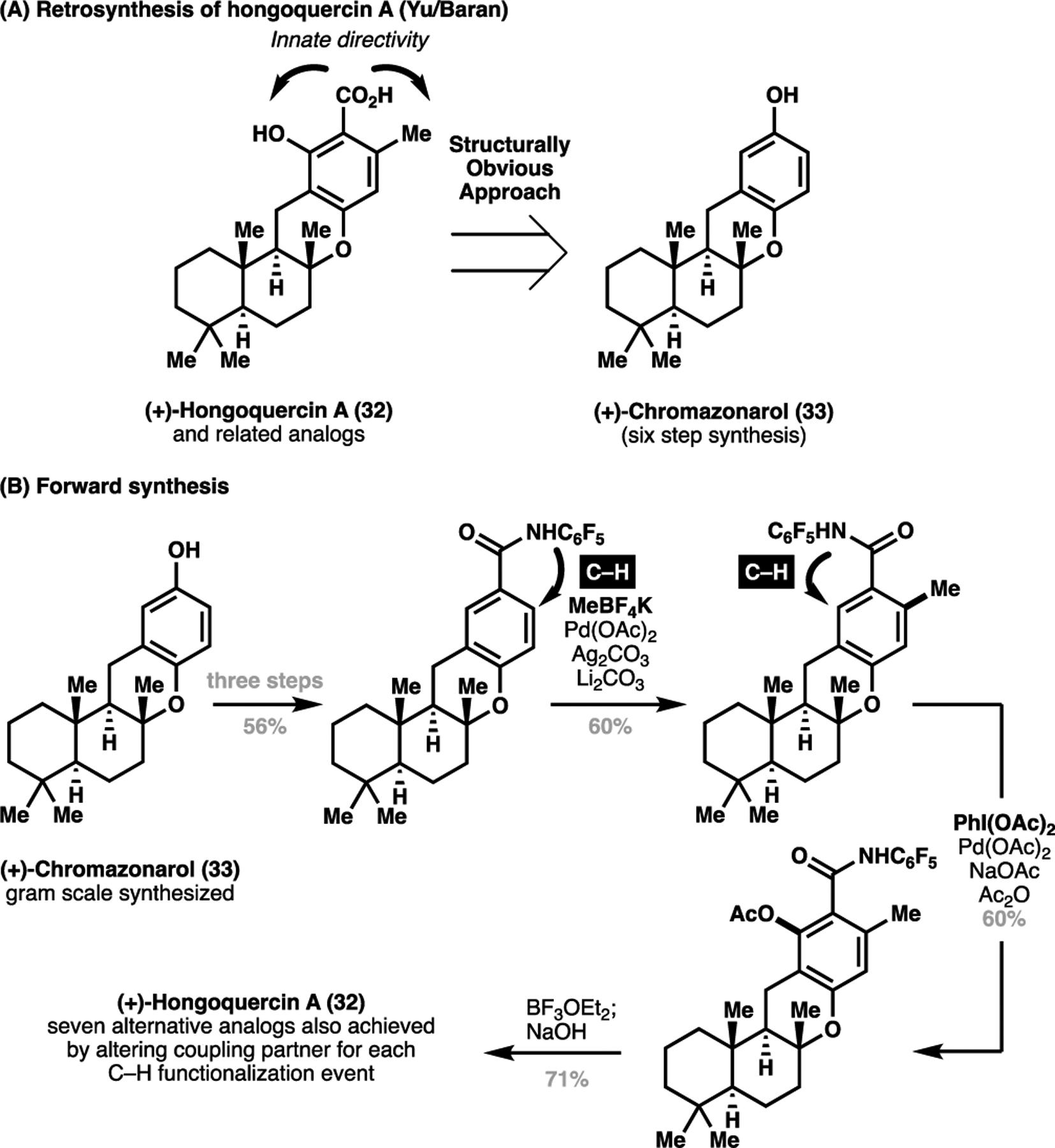 Scheme 6.