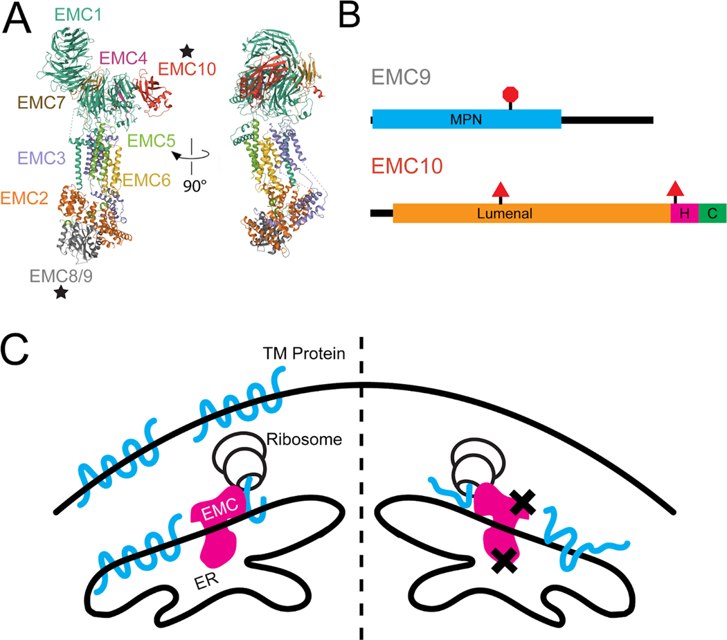 Figure 1: