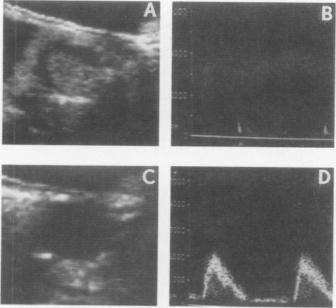 Fig. 9.