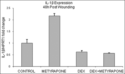 FIGURE 7.