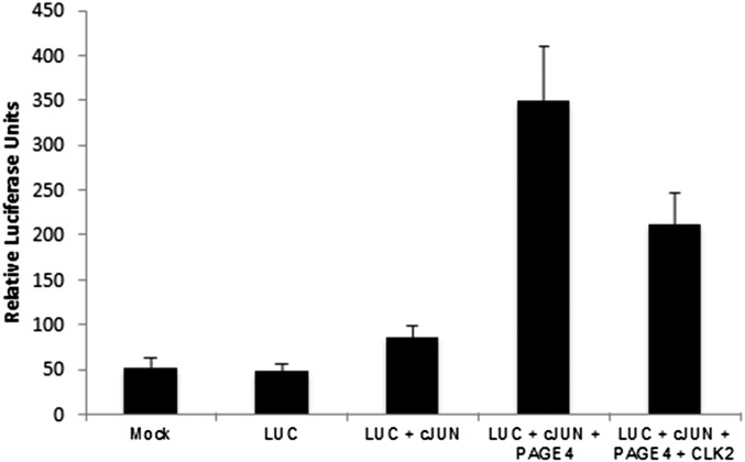 Fig. 5.