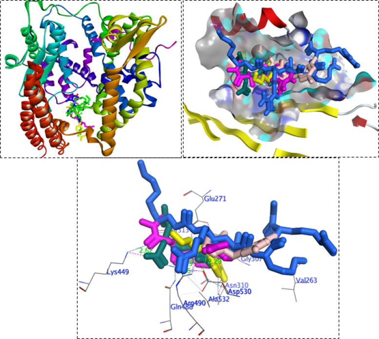 Figure 4.