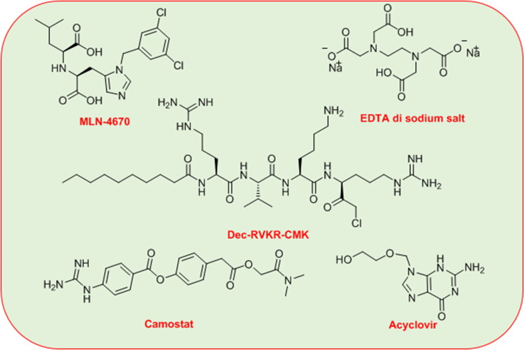 Figure 1.