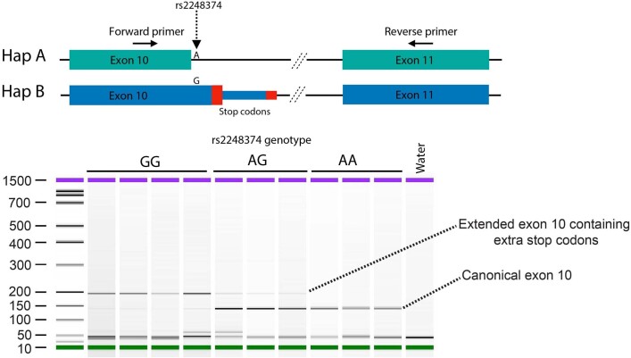 Extended Data Fig. 9