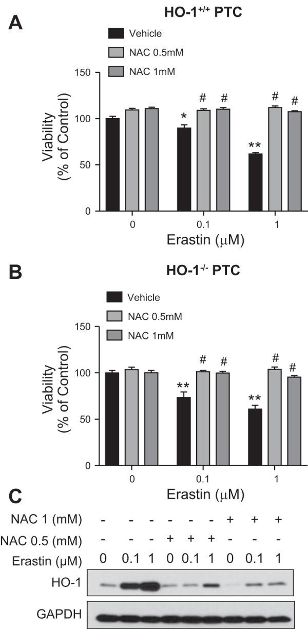 Fig. 9.