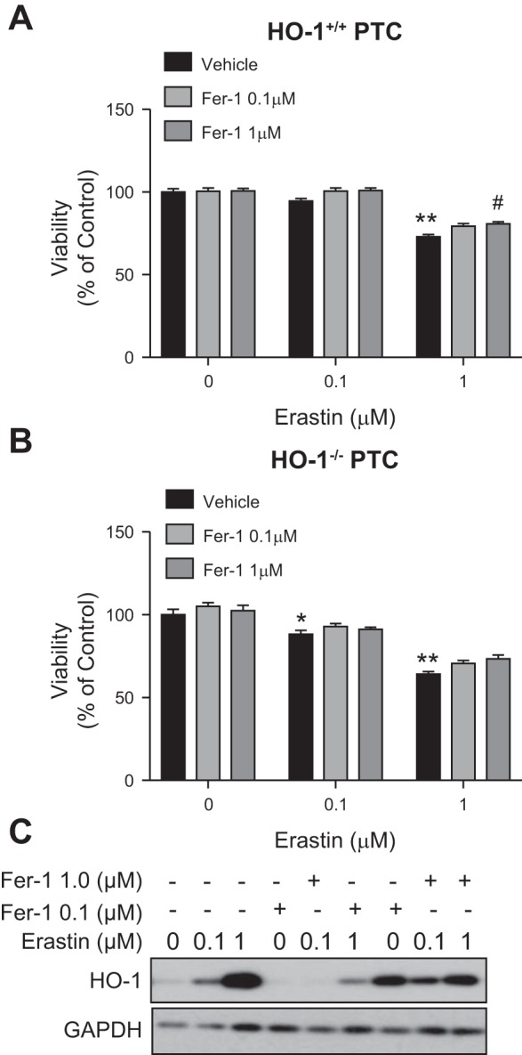 Fig. 11.