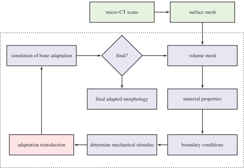 Figure 6.