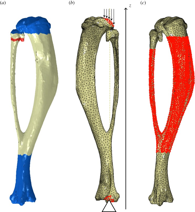 Figure 7.