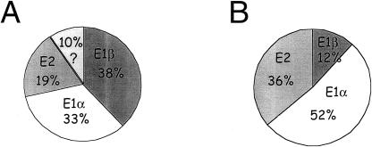 Figure  2