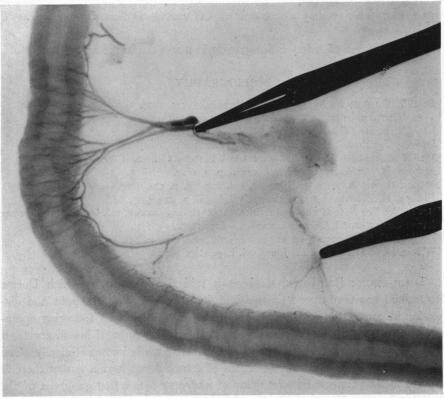 FIG. 5.