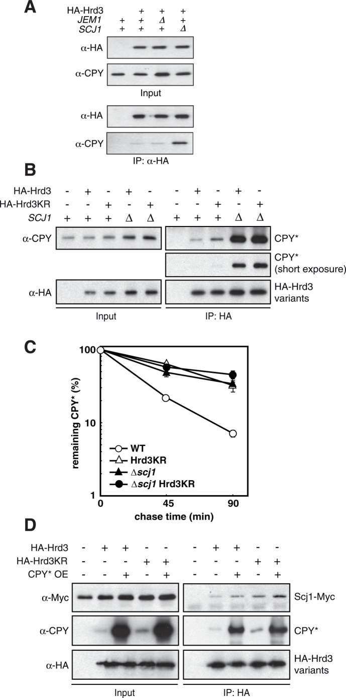 FIGURE 5: