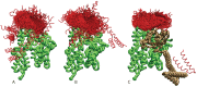Figure 1—figure supplement 3.
