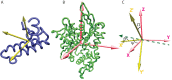 Figure 1—figure supplement 4.