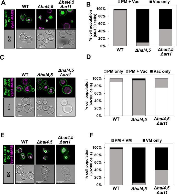 Fig 4