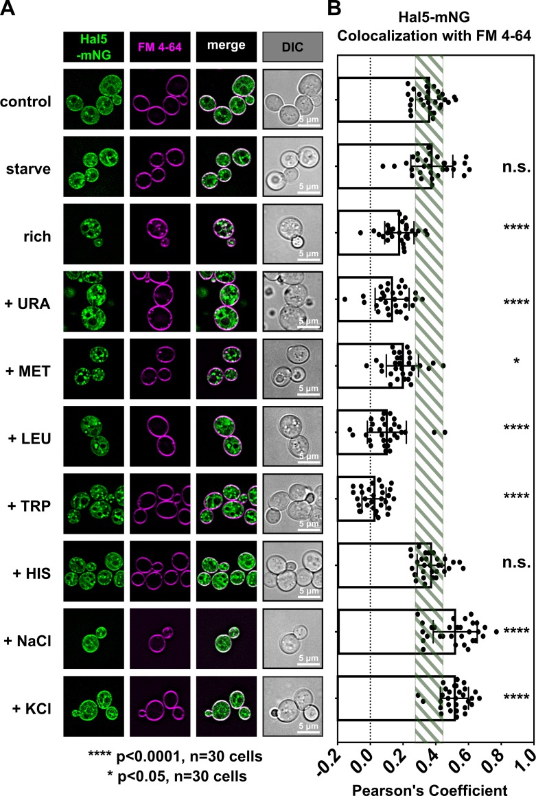 Fig 10