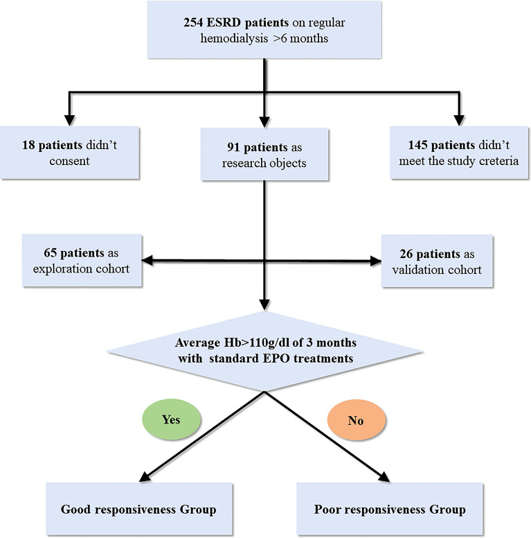 Figure 1