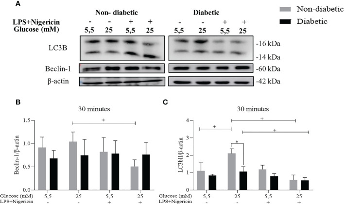 Figure 3