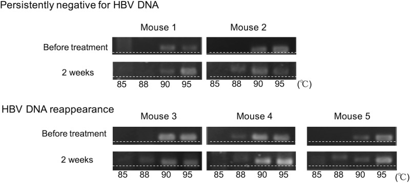 FIG 4