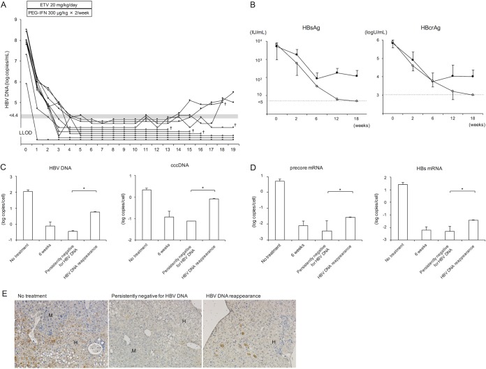 FIG 3