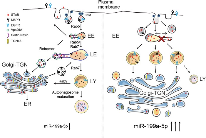 FIG 10