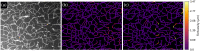 Fig. 13