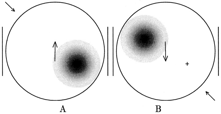 Fig. 12.