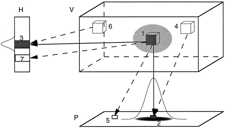 Fig. 8.