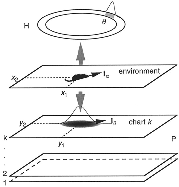 Fig. 5.