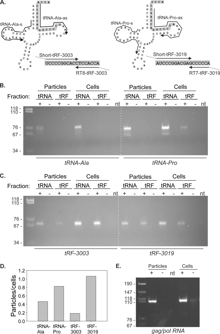 FIG 6