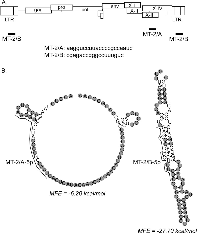 FIG 2