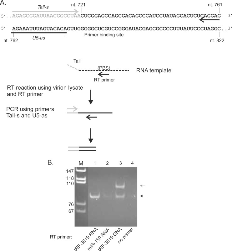 FIG 5